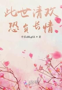 安徽电力刘会计师
