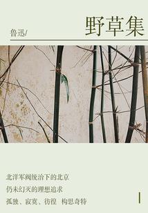 怎么邮寄信件给东奥