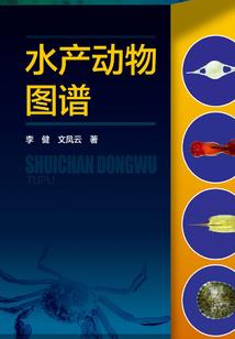 南昌会计师兼职招聘信息