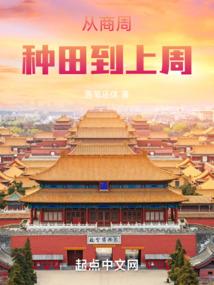 会计报考什么专业
