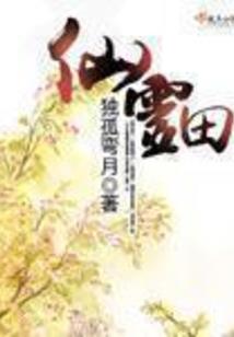 当会计师需要选什么科