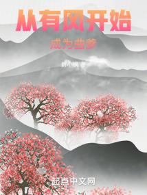 注册会计师司法会计师