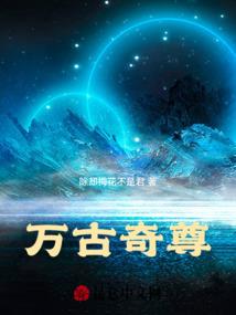 财政自给率城市