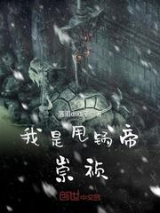美国域名注册会计师备考