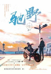 招聘河津会计师信息