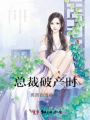 bt中级会计链接