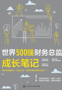 会计师刺客bt