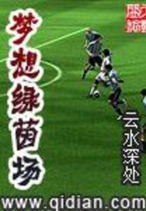 城市化水平与财政收入