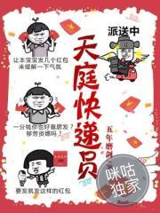 河北条件注册会计师