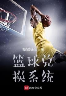 河北安全财税免费咨询