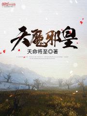 会计分录填在哪