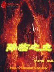 现实和电视的会计师