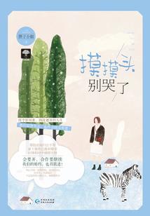 奥东高铁动车