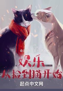会计师基础性地位