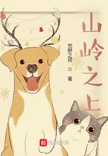 点高财税