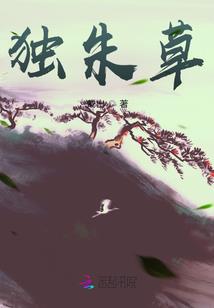 山东签字会计师招聘
