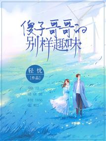 备考cpa如何报考科目