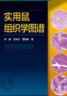 中级会计平均工资