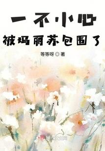 注册会计师和一级建造师