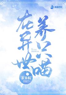 江苏会计代理选择