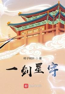 杨奕老师财税