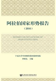 非注册会计师控制