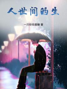 石排企业财税咨询公司