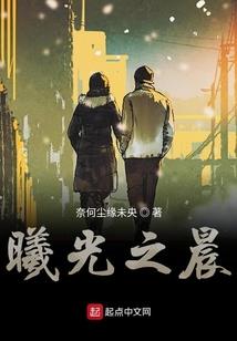 注册会计师对于国税