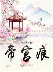 中牟财税公司排行