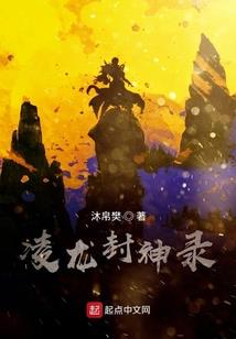 a注册会计师是甲公司