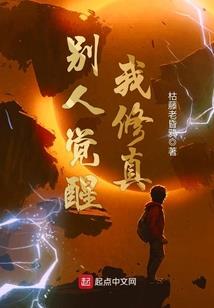 昆明财税公司项目表格