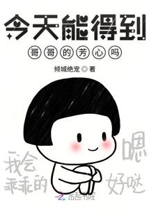 分公司会计主体情况