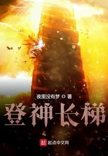 初级会计考哪些类型题
