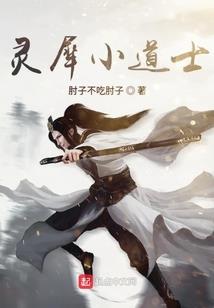 2019我国cpa人数