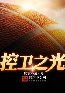 会计信息化下内部控制