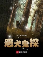 会计人可以考什么证
