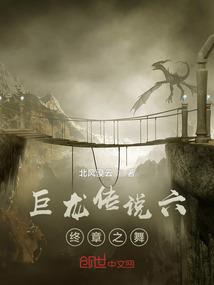 资本公司会计师