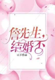 中级会计证书持有人数