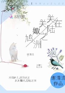 公司设立时的会计分录