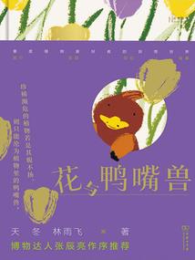 中级会计网上课程在哪买