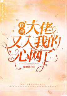 备战初级会计用的书