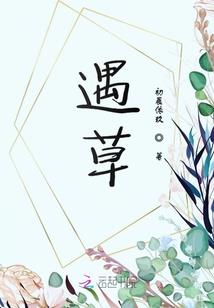 怎样做好一个会计