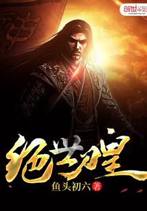 华为财税软件