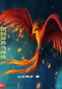 会计师证作假