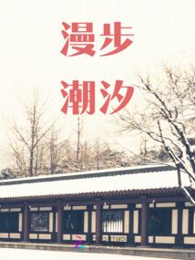 视频考试会计入成绩吗