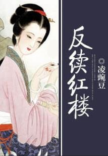 金四系统财税知识