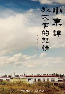 认证费用的会计分录