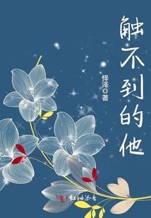chp注册会计师工资