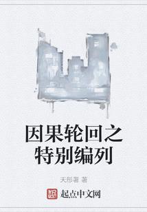 金飞财税