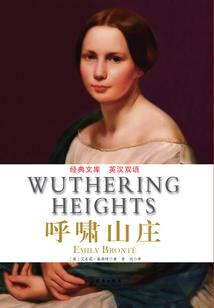 什么是公共财政收入